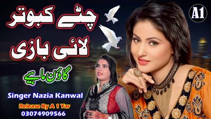 Punjabi Tappe Mahiye  Chitte Kabotar Lai Baazi   New Gaon Mahiye 2023   Punjabi Dukhi Mahiye  By Nazia Kanwal