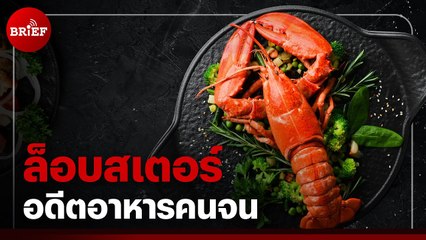ล็อบสเตอร์ อดีตอาหารคนจน | #beartaiBRIEF