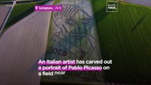 Italian land artist pays tribute to Pablo Picasso with a massive field portrait