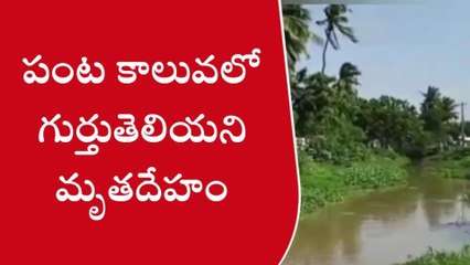 పశ్చిమ గోదావరి: పంట కాలువలో గుర్తుతెలియని మృతదేహం కలకలం
