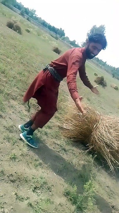 New dance