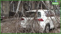 Tempête de verglas: Montréal figé sous la glace, importants dégâts matériels