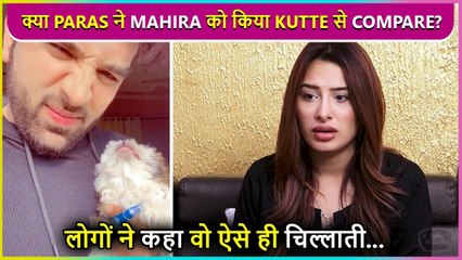Paras Chhabra Compares Mahira Sharma's Anger To Dog's Bark? Fans React