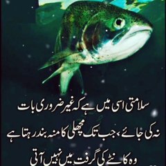 Beautiful aqwalezareen collection Golden words, best quotes,heart touching words,Urdu adab