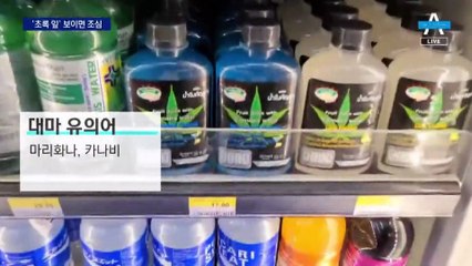 쿠키도 음료도 ‘초록색 잎’ 조심…무심코 먹었다간 국내 처벌