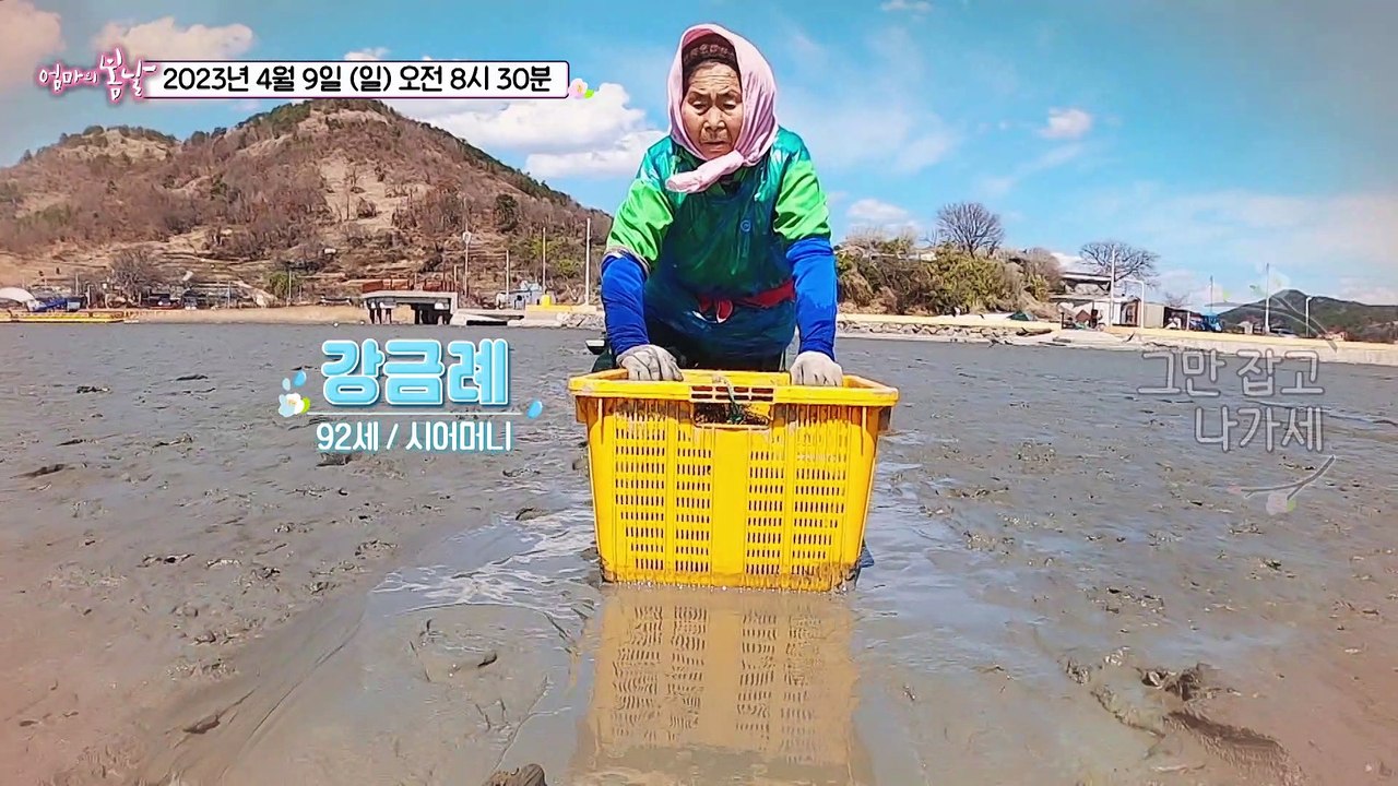 순천만 고부의 마지막 뻘배길_엄마의 봄날 395회 예고 TV CHOSUN 230409 방송