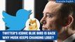 Elon Musk reinstates Twitter logo to blue bird, after replacing it with 'Doge' meme | Oneindia News