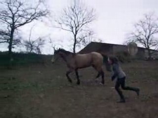 eccurie des pierres dorees