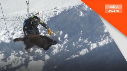 Insiden di pergunungan Alps ragut 4 nyawa, 9 cedera