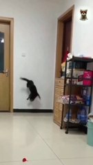 Oooops ! Great skill FAILS