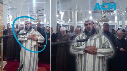 Cat joins Taraweeh prayers in Algerian mosque