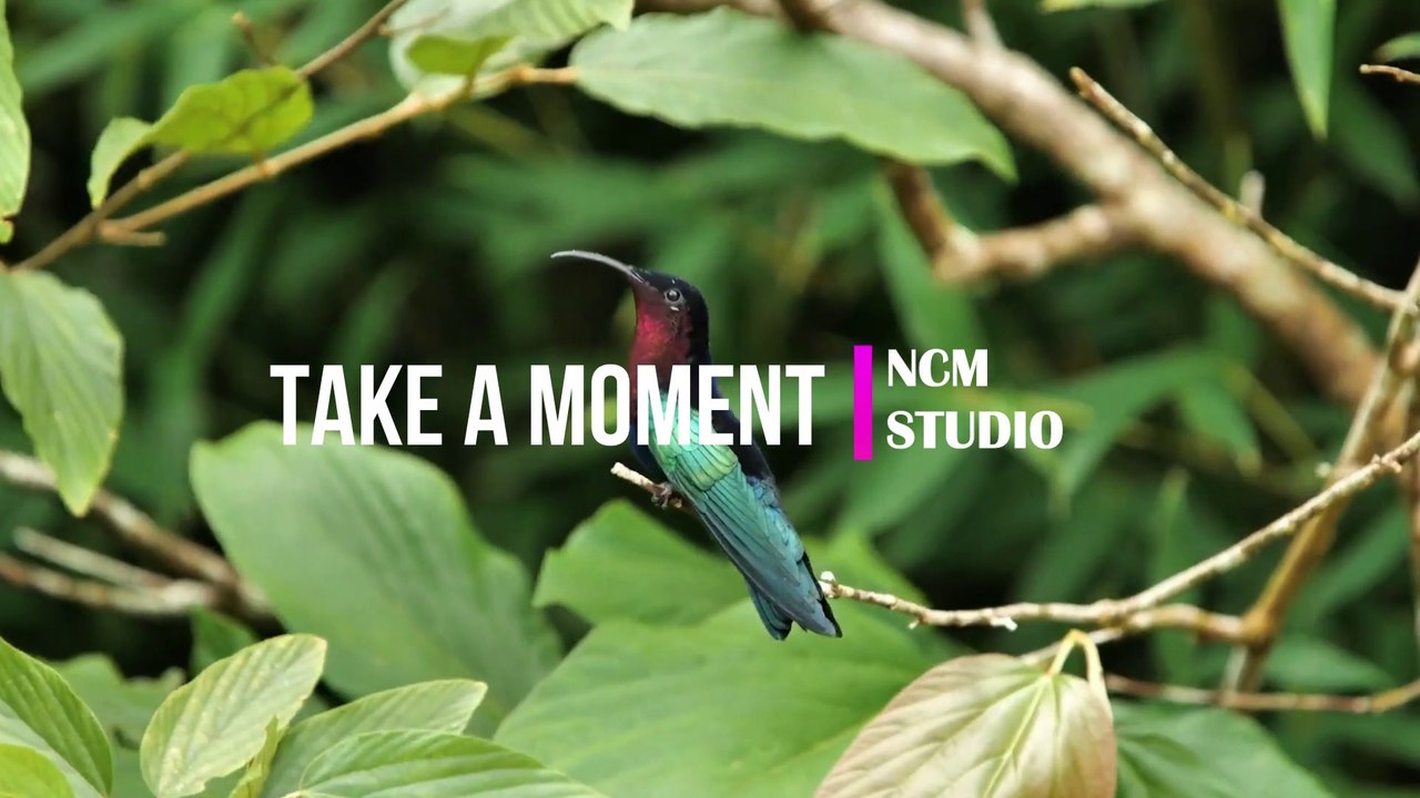 Take A Moment - Brian Withycombe: Ambient Music, Inspirational Music, Positive Music