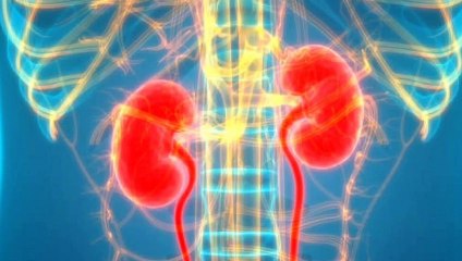 Beware of 6 bad habits that damage your kidneys