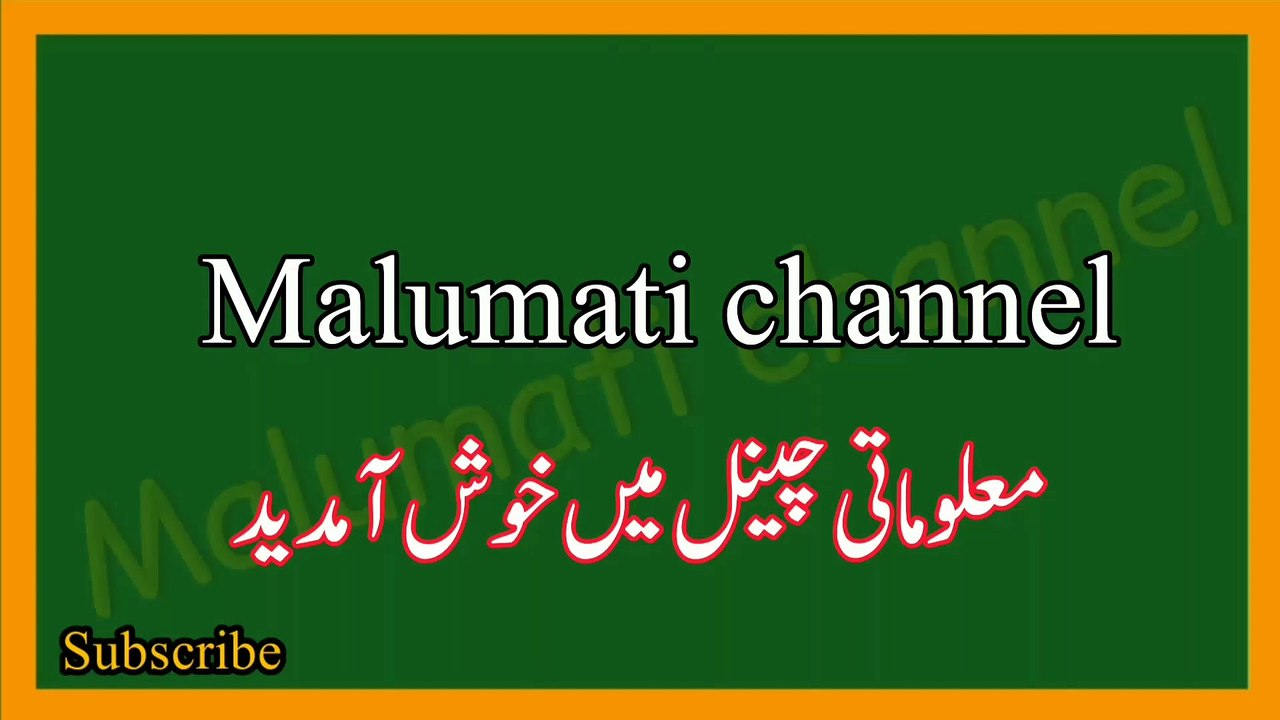 Dilchasp Islami sawal jawab in urdu | Islamic common sense paheliyan in Urdu | اسلامی سوال وجواب