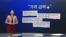 인기있던 방울토마토 왜 가격 급하락? / YTN