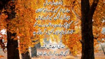 Aqwal e zarin, Urdu Quotes, Islamic quotes.