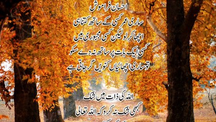 Aqwal e zarin, Urdu Quotes, Islamic quotes.