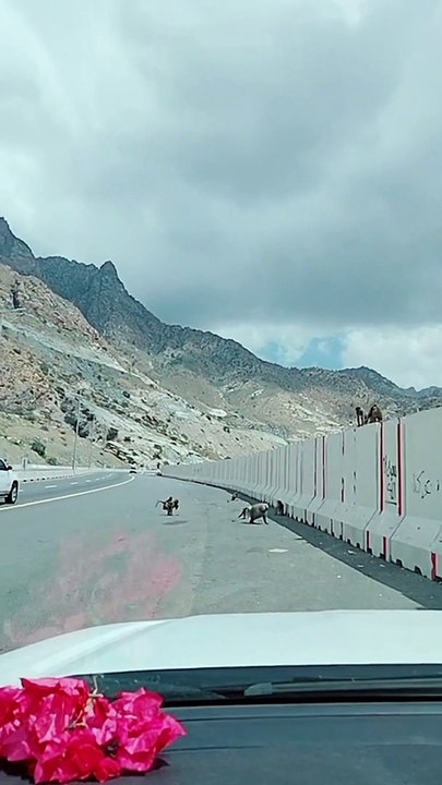 skardu beautiful view