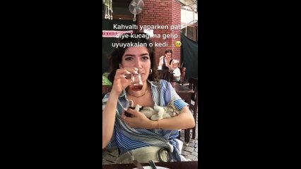 Funny Pets That Will Make You Laugh In 5 Seconds