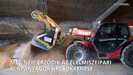 Download Video: Csökkent az élelmiszeripari alapanyagok árindexe az ENSZ szerint