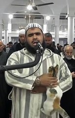 Un gatto si arrampica sull'imam durante le preghiere del Ramadan. Il video è virale