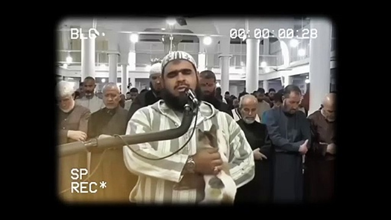 EN PLEIN RAMADAN QU EST CE QUE CHAT A FAIT