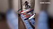 Görüntüler sosyal medyada viral oldu! Evin banyosuna giren davetsiz misafiri böyle evden çıkardılar