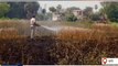 जहानाबाद: अचानक लगी भीषण आग से 10 बीघा गेहूं फसल जलकर हुआ राख, देखिये खबर