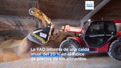 Cae el índice mundial de la ONU del precio de los alimentos por el acuerdo de exportación de grano