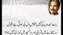 Beautiful Quotes In Urdu | Aqwal e zareen |اقوال زریں اردو |علامہ اقبال