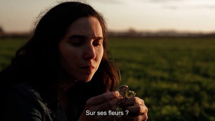 Trenque Lauquen Bande-annonce VO