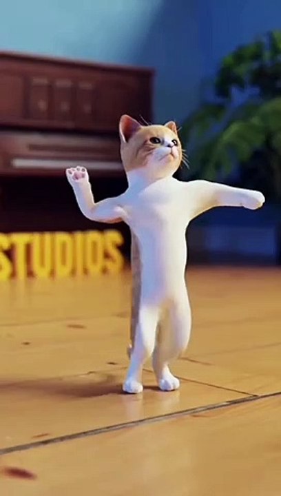Cute cat