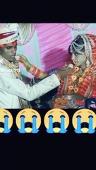 Funny entertainment video funny short video short clip