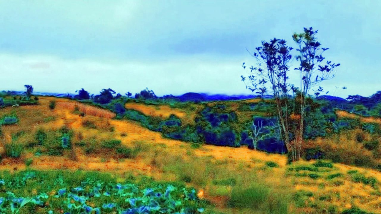 Video That Heals The Heart And Blood Vessels Calms The Nervous System, Body And Soul