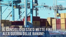 NETWORK Settimanale di Attività Marittima, Logistica, Infrastrutture e Trasporti