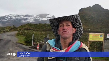 Evacuar o salvar sus animales, el dilema de campesinos junto a un volcán en Colombia