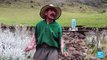 Colombia: las personas que niegan a evacuar sus hogares pese a amenaza del volcán Nevado del Ruiz