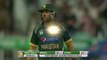 All Round Performance By Boom Boom Shahid Afridi Pakistan vs New Zealand 3rd ODI PCB MA2A