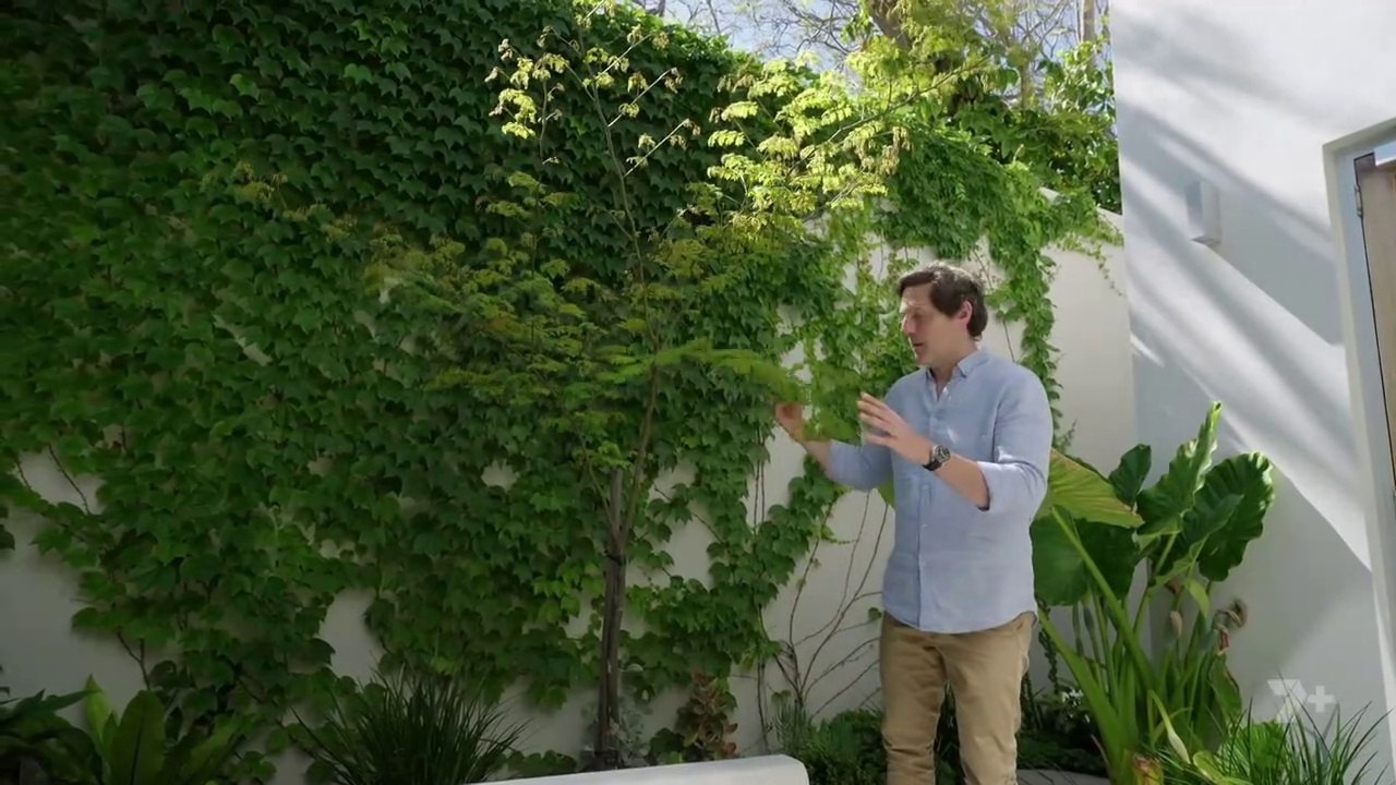 Better Homes and Gardens episode 10 2023 video Dailymotion