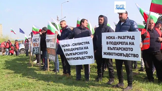 Фермеры ЕС - против беспошлинного импорта украинского зерна