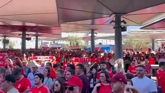 adeptos benfica