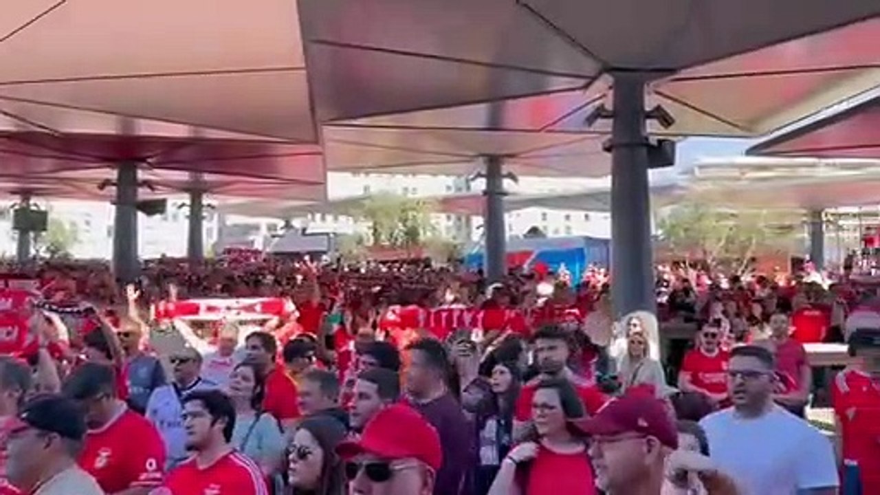 adeptos benfica