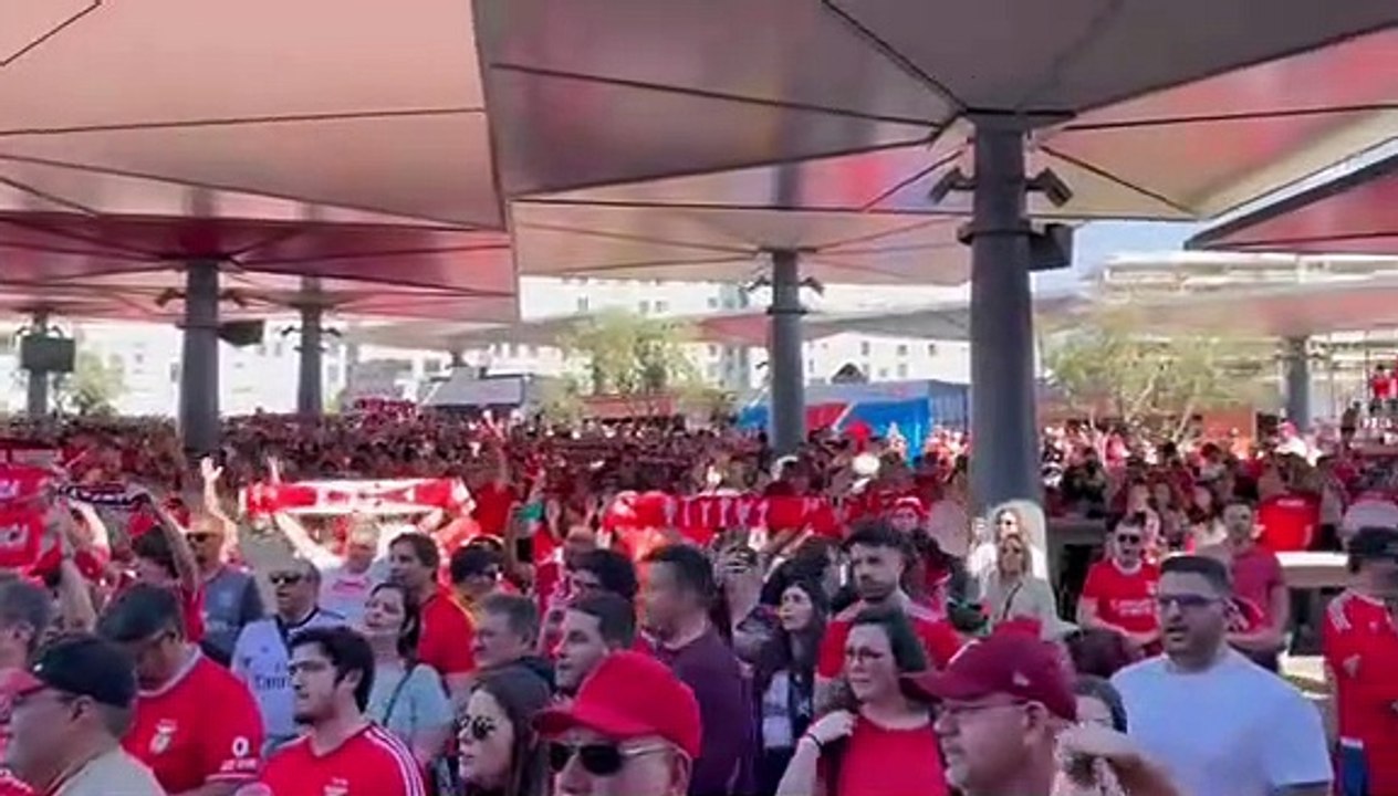 adeptos benfica