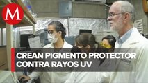 UNAM crea pigmento protector contra rayos UV amigable con el medio ambiente