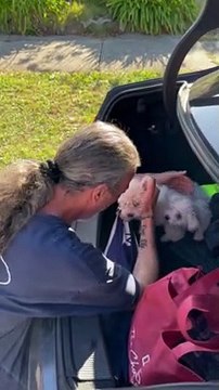 Dad Gets Emotional When Surprised With Two New Puppies
