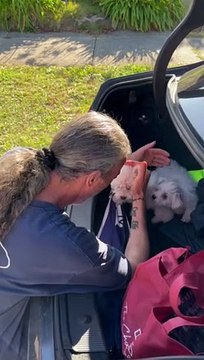 Dad Gets Emotional When Surprised With Two New Puppies