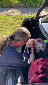 Dad Gets Emotional When Surprised With Two New Puppies