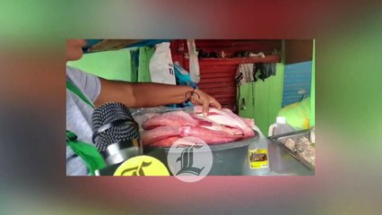 TÍMIDA VISITA A PLAYAS DE BOCA CHICA Y GUAYACANES ESTE VIERNES SANTO