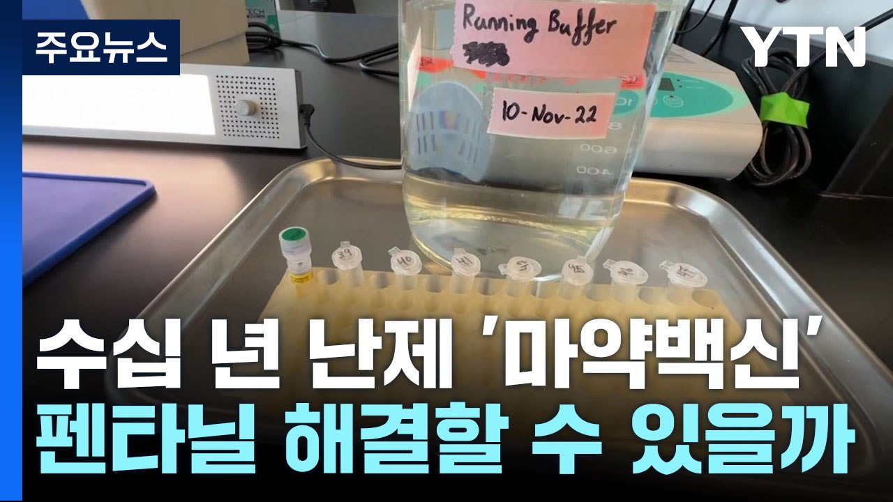 수십 년 난제 '마약 백신'...펜타닐 문제 해결할 수 있을까? / YTN