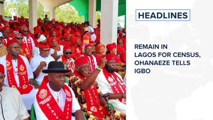 Tinubu: Chimamanda Adichie comes under attack over letter to US govt and more